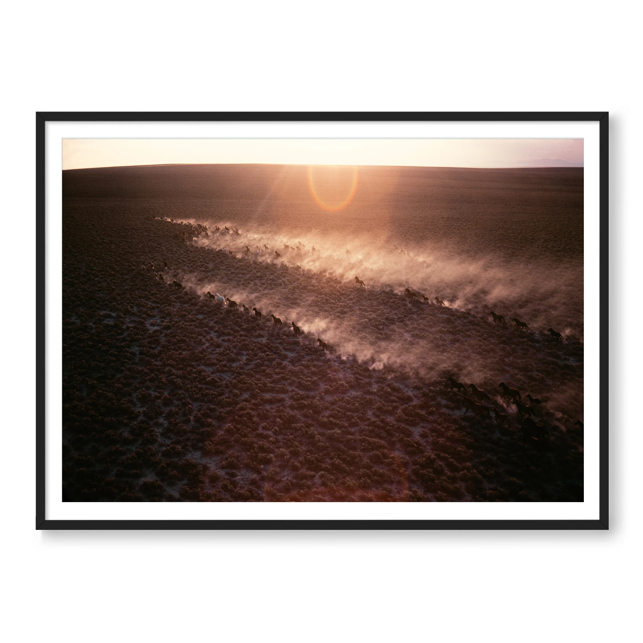 Vintage: Art Photography